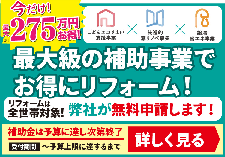 補助金制度始まる